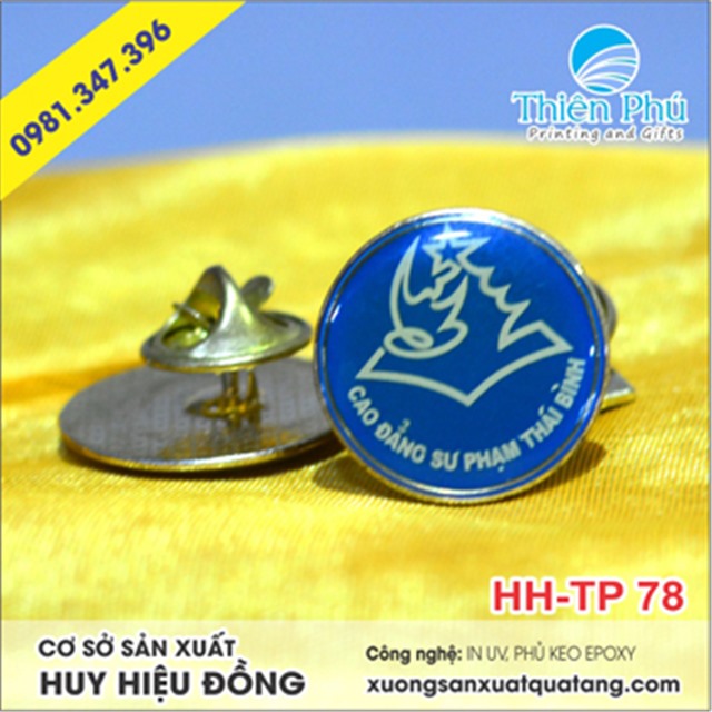 Huy hiệu đồng cao đẳng sư phạm thái bình