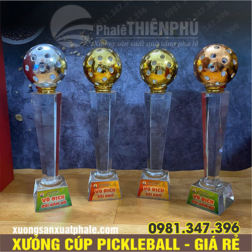 Cúp giải pickleball 16