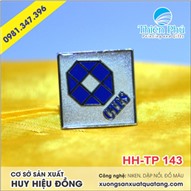 Huy hiệu đồng CTFS