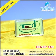 Huy hiệu đồng ăn mòn TECH