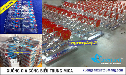 kỷ niệm chương mica