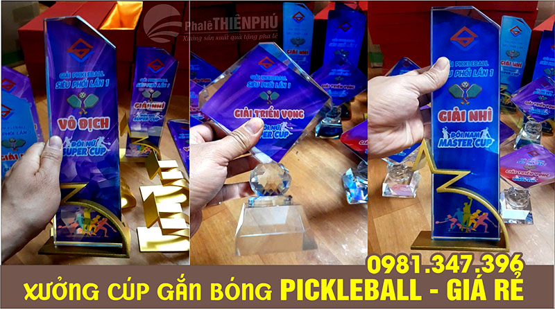 cúp giải đấu pickleball 14